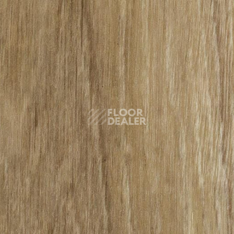 Кварцвиниловые полы Forbo Effekta Professional 0.45 4114 P Classic Authentic Oak PRO фото 1 | FLOORDEALER
